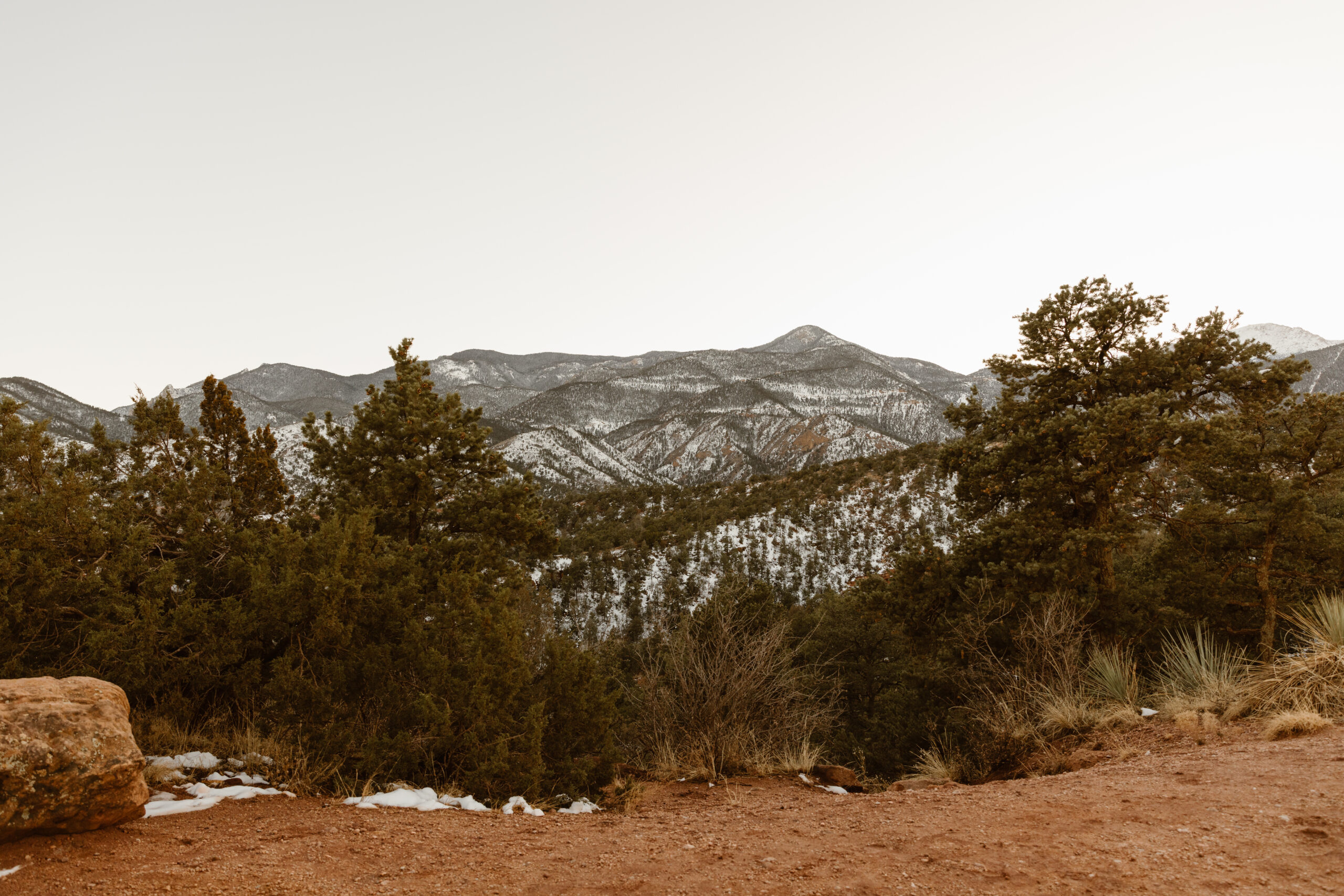 Snow-covered mountains rise behind evergreen trees and red rock terrain at Garden of the Gods in Colorado during winter.