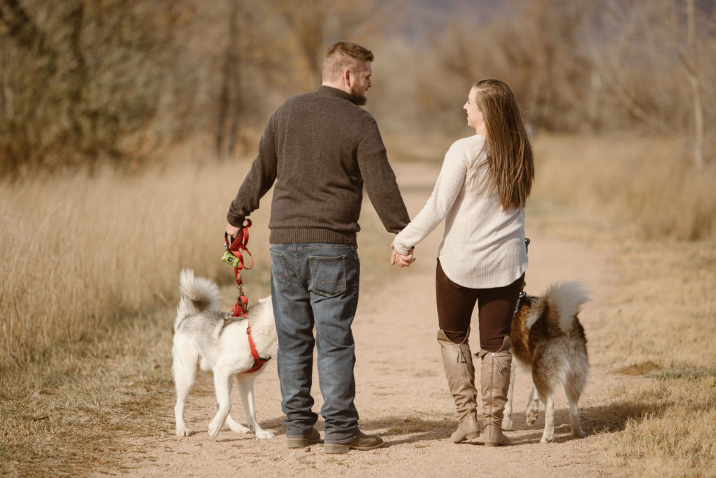 Couple walking away from the camera with their two huskies