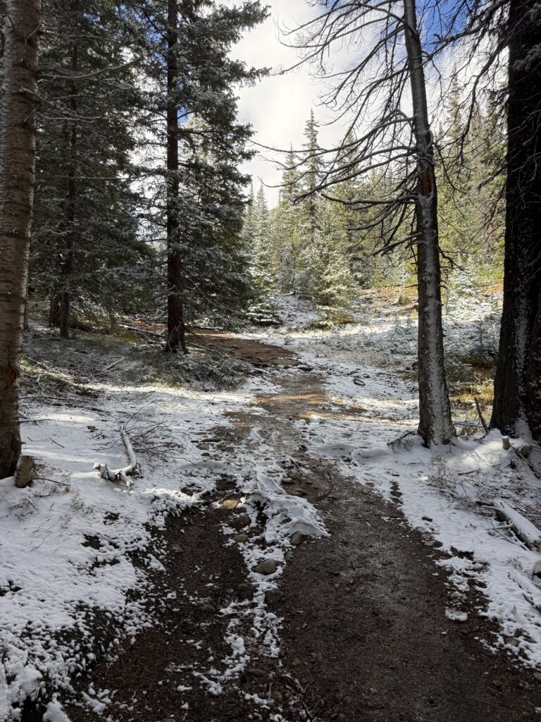 A quiet forest trail in Winter Park, Colorado lightly dusted with early October snow, winding through tall evergreen trees under soft mountain light.